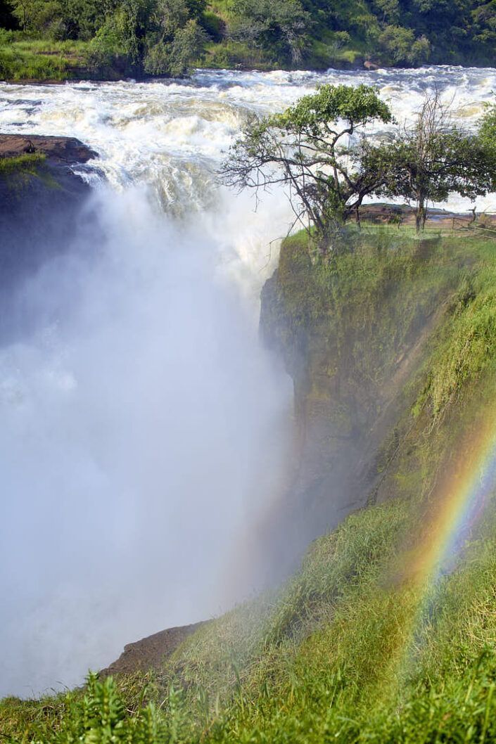 Murchison Falls - Uganda