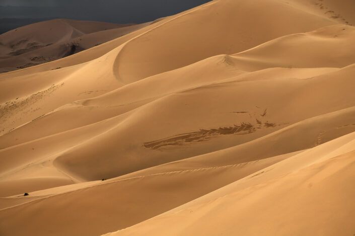 Khongor Sand dunes