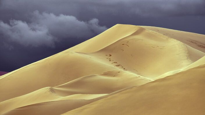 Khongor - Mongolia