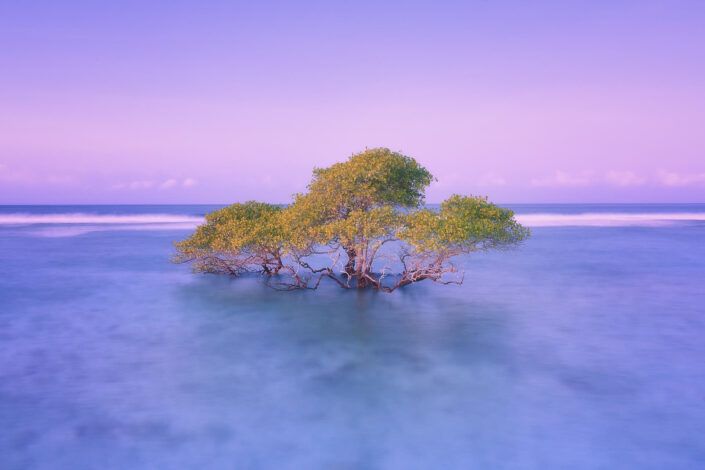 Gili Trawangan - Indonesia
