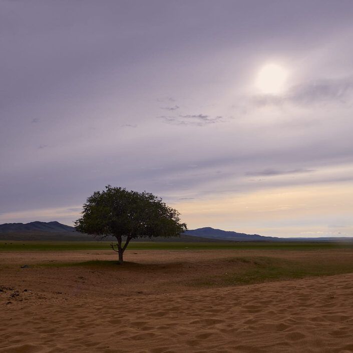 Dunas de arena - Elsen tasarkhai