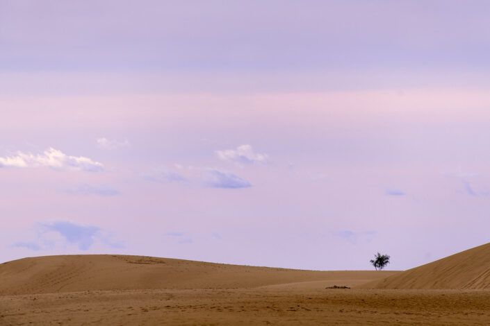 Dunas de arena en Elsen tasarkhai