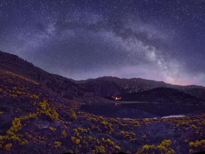 Nocturna ceretania