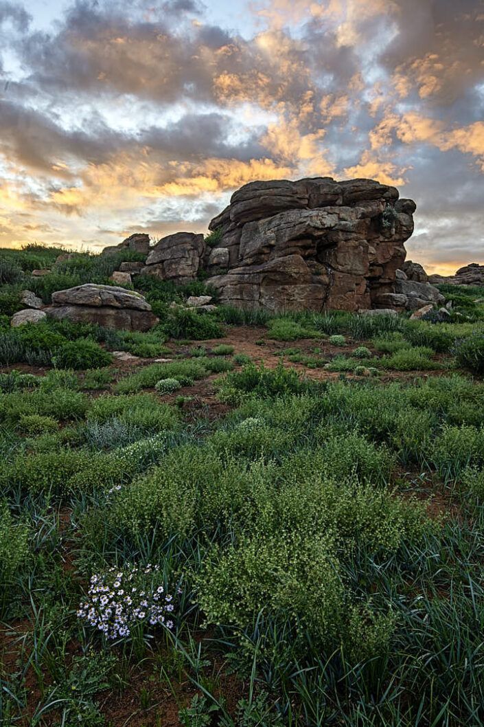 Baga gazrin chuluu - Mongolia